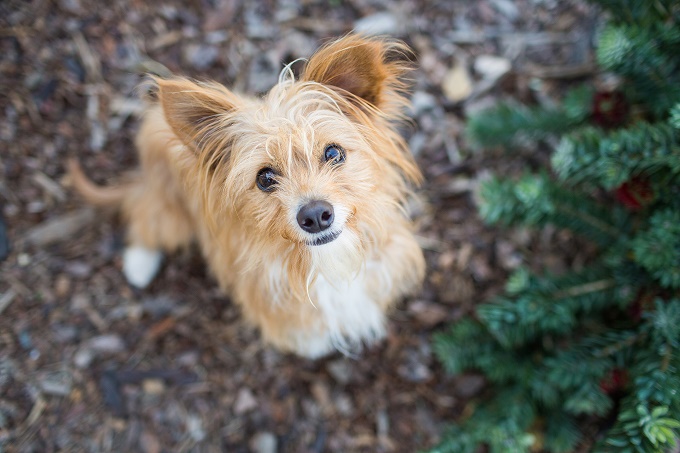 I wasn't digging! I swear!