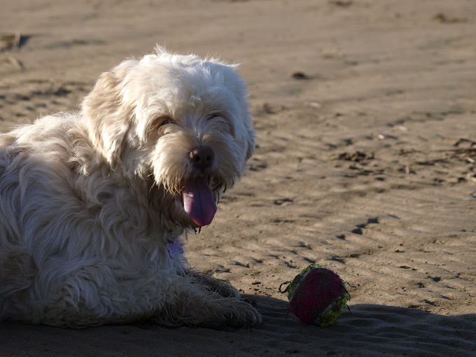 My ball is dirty and I couldn't be happier!