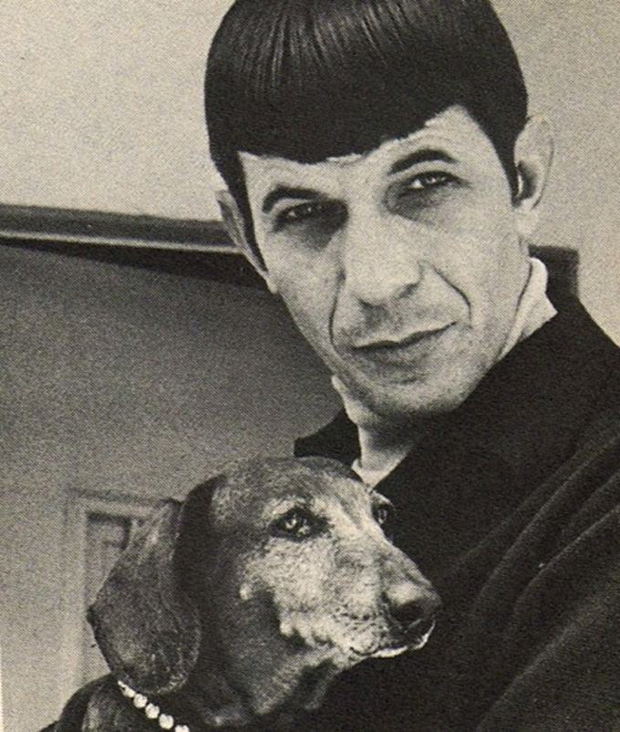 Leonard Nimoy And His Dachshund