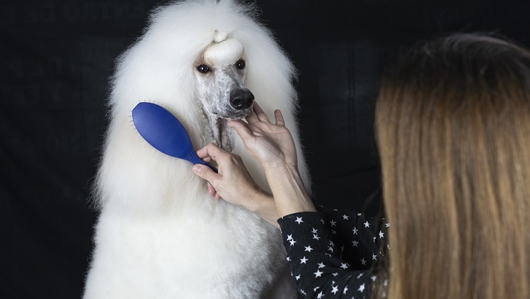 Fur Grooming Accessories