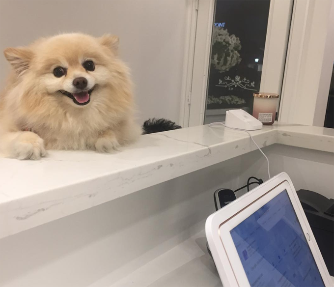 Take your dog to work day! 