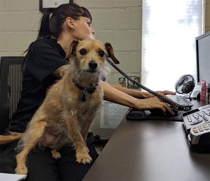 Take your dog to work day! 