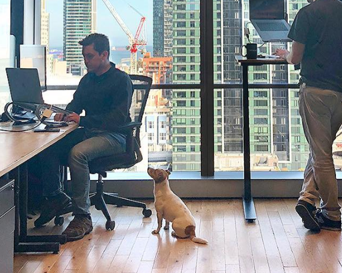 Take your dog to work day! 