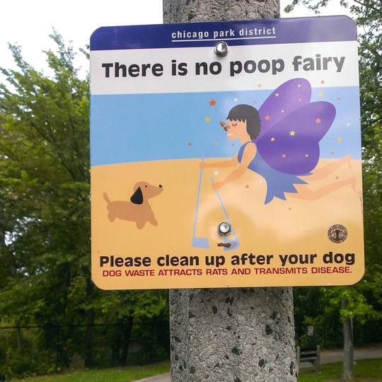 No Poop Fairy