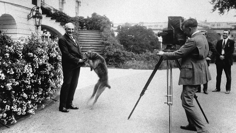 Warren Harding's Laddie Boy Cheats At Golf