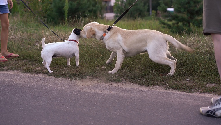 Take A Walk In The Park