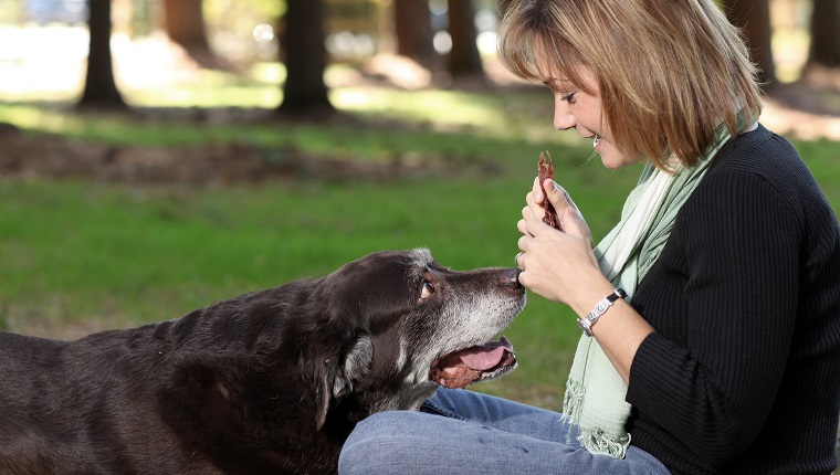 Ask Your Vet About Dietary Changes