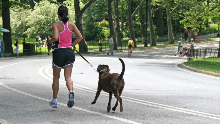 Running & Walking Mates