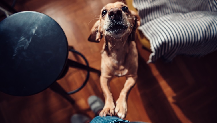 Exercise, Even If You Have To Stay Inside