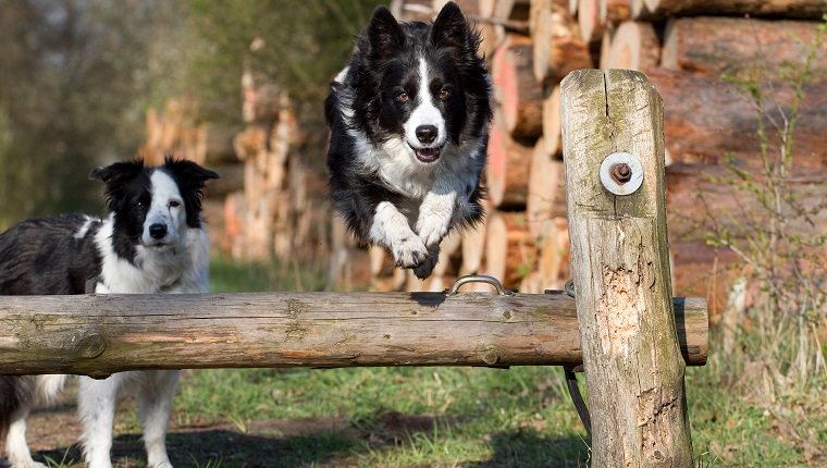 Make An Obstacle Course