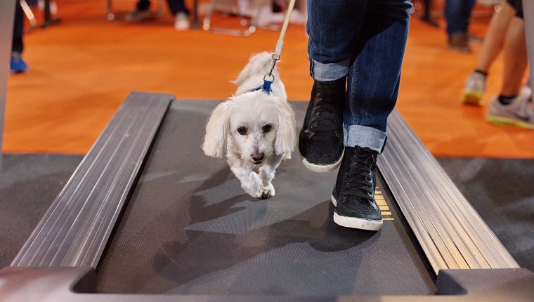 Work That Treadmill